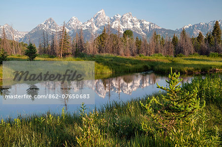 U.S.A., Wyoming, Grand Teton National Park, Schwabacher s Landing