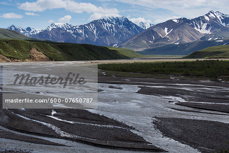 Denali National Park, Alaska, USA