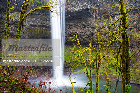 South Falls, Silver Falls State Park, Oregon, United States of America, North America