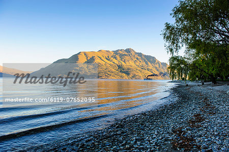 Late afternoon light over the shores of Lake Wakatipu, Queenstown, Otago, South Island, New Zealand, Pacific Late afternoon light over the shores of Lake Wakatipu, Queenstown, Otago, South Island, New Zealand, Pacific