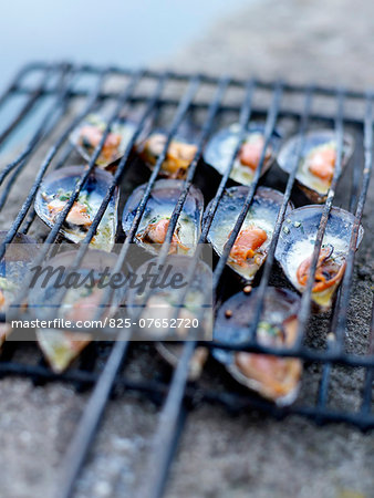 Mussels on the barbecue