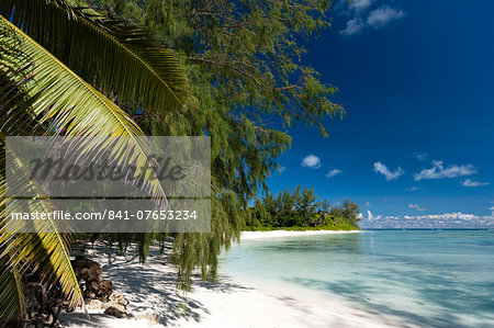 Denis Island, Seychelles, Indian Ocean, Africa