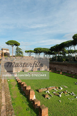 Imperial palace at Forum Romanum, Palatine Hill, Rome, Lazio, Italy, Europe