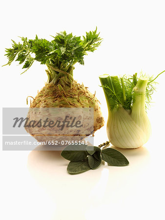 Celeriac,fenel and sage Celeriac,fenel and sage