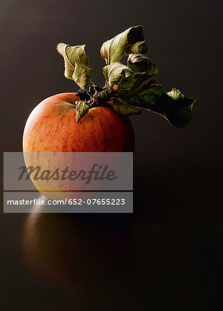Reinette apple with leaves