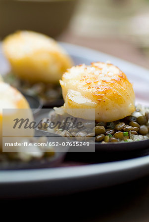 Green lentils with pan-fried scallops