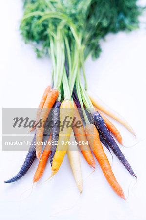Different varieties of carrots