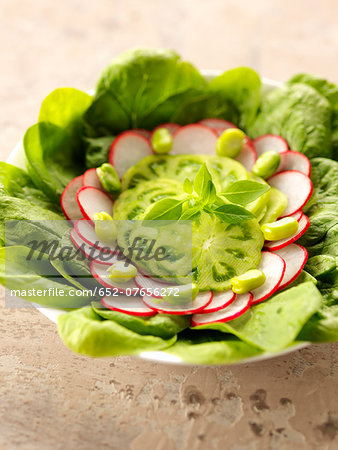 Green tomato,radish and spinach salad