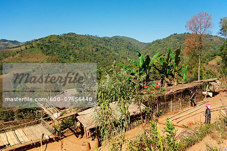 Huts in Akha Village, Mae Salong, Golden Triangle, Chiang Rai Province, Thailand