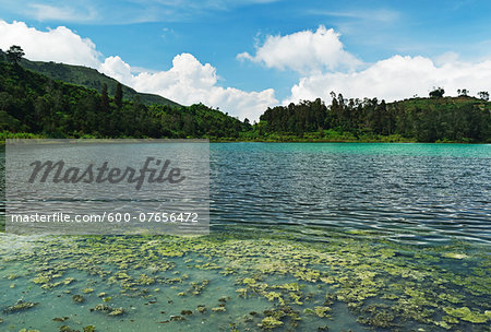 Telaga Warna (Colorful Lake), Dieng Plateau, Java, Indonesia