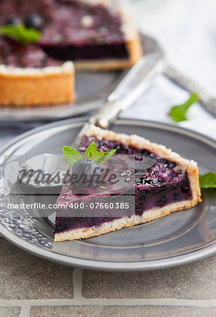 Piece of fresh homemade blueberry pie on the plate