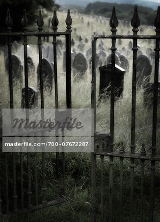 Broken gate into over grown church yard, North Wales.