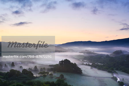 Misty wooded valley at dawn, summer, Snowdonia National Park, North Wales.
