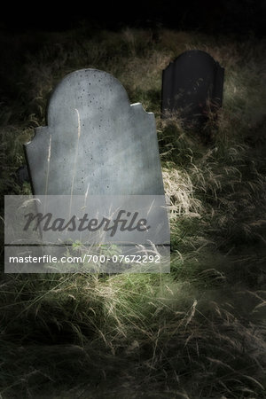 Close-up of blank grave stone in an overgrown cemetery.