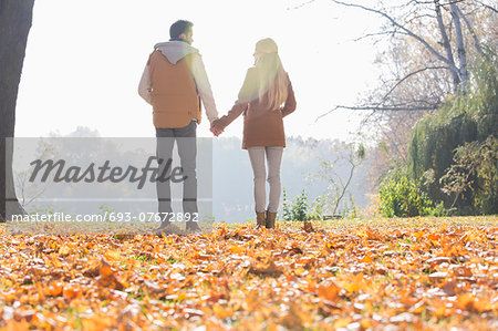 Rear view of couple holding hands in park during autumn
