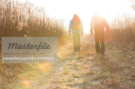 Full length rear view of male hikers walking together in field