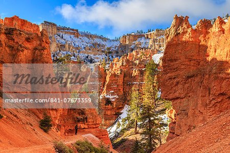 Hiker takes a break on the Peekaboo Loop Trail in winter, with snowy red rocks and cliffs, Bryce Canyon National Park, Utah, United States of America, North America