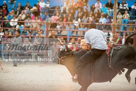 Rodeo at Santa Cruz Papalutla, Oaxaca, Mexico, North America