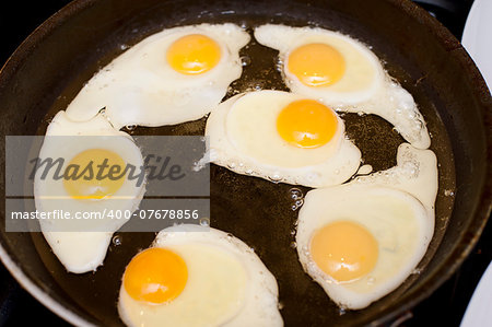 High-angle close-up of six fried eggs, nutritious source of proteins, in a pan with hot oil, for breakfast