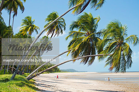 South America, Brazil, Alagoas, Praia do Patacho, surfers walking in from the sea MR