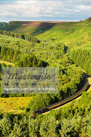 United Kingdom, England, North Yorkshire, Levisham. The steam train 61002, 'Impala', passes through Newtondale Forest as seen from Skelton Tower.