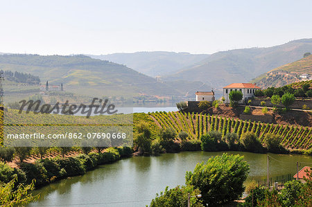 The Douro river and the terraced vineyards of the Port wine in Covelinhas. A Unesco World Heritage site, Portugal