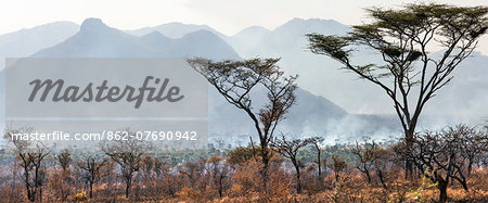 Uganda, Kidepo. The deliberate burning of tall grass takes place soon after the rainy season each year in and around the Kidepo Valley National Park to generate new growth.