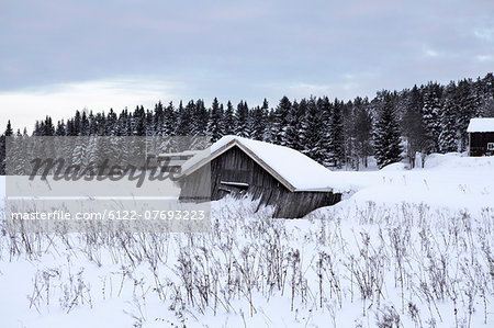 Abandoned old barn in snow covered field