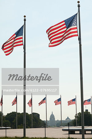 American flags and capitol building, Washington DC, USA