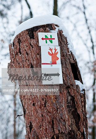 Sign on tree trunk