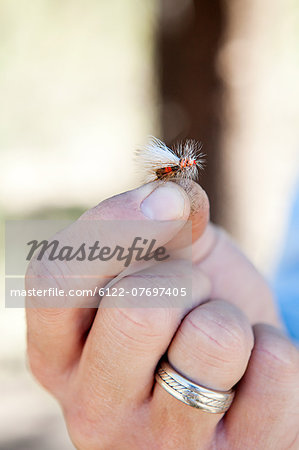 Man holding imitation fly for fishing, Colorado, USA
