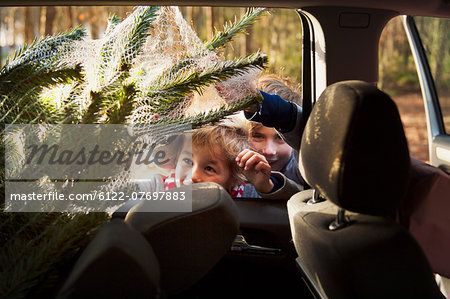 Two boys looking at Christmas tree in car