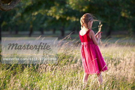 Girl collecting wheat stalks in field