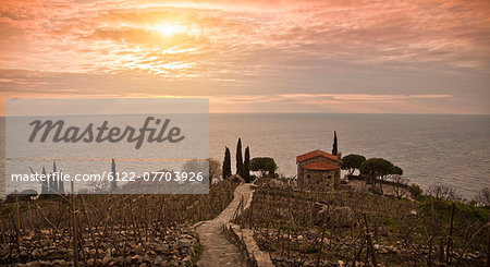 Dry vineyard and houses on coastline