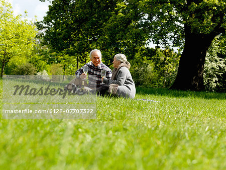 Older couple drinking wine at picnic