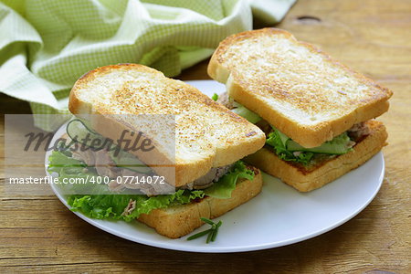 tuna sandwich with fresh cucumber and green salad