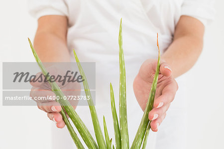 Close up mid section of woman with aloe vera at spa center