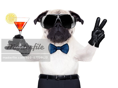 cool pug dog with martini glass and peace or victory fingers