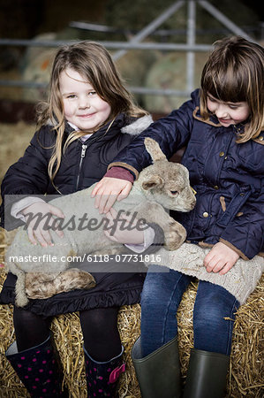 Children and new-born lambs in a lambing shed.