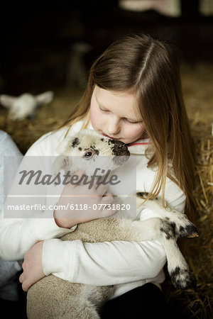 A girl holding a small new-born lamb.