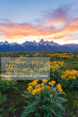 The Teton mountain range in the Grand Teton national park at sunset.