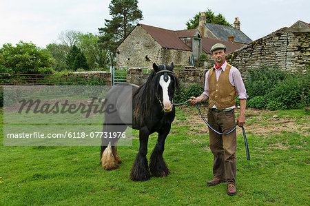 A farm worker holding a horse on a leading rein.