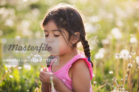 A young child in a field of flowers, blowing the fluffy seeds off a dandelion seedhead clock.