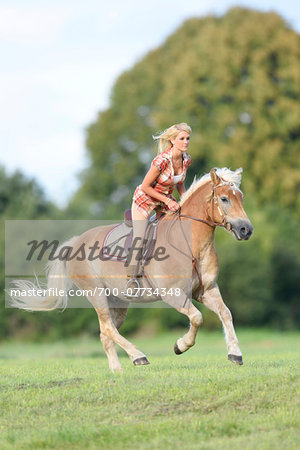 Young woman riding a Haflinger horse in summer, Upper Palatinate, Bavaria, Germany