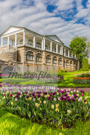 View of the Cameron Gallery at the Catherine Palace, Tsarskoe Selo, St. Petersburg, Russia, Europe