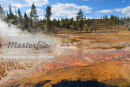 Colourful thermal features, Upper Geyser Basin, Yellowstone National Park, UNESCO World Heritage Site, Wyoming, United States of America, North America