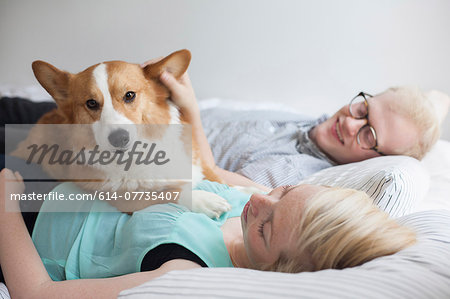 Cute corgi dog lying on bed with young couple