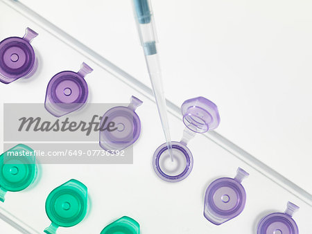Overhead view of pipetting DNA sample into microcentrifuge tubes Overhead view of pipetting DNA sample into microcentrifuge tubes