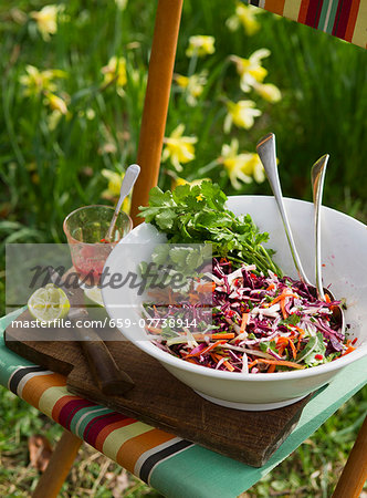 Vegetable salad with red cabbage and root vegetables on a garden chair