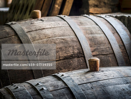 Oak barrels with wooden bungs (cork) in a cellar in the Kakheti wine region, Georgia, Caucasus Oak barrels with wooden bungs (cork) in a cellar in the Kakheti wine region, Georgia, Caucasus